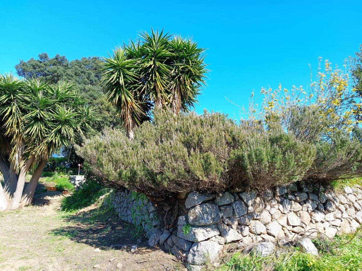 Vinha Do Gaio Villa Montes de Cima Exterior photo